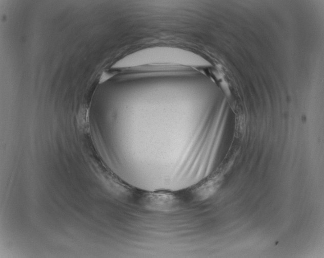 X0000081480429200702021902
