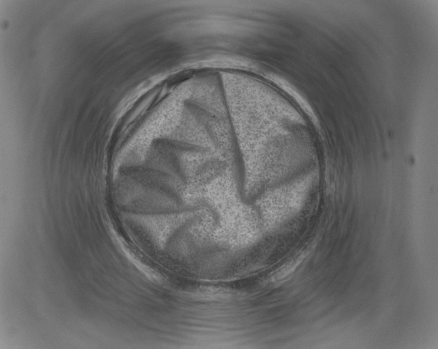 X0000081480437200702021902