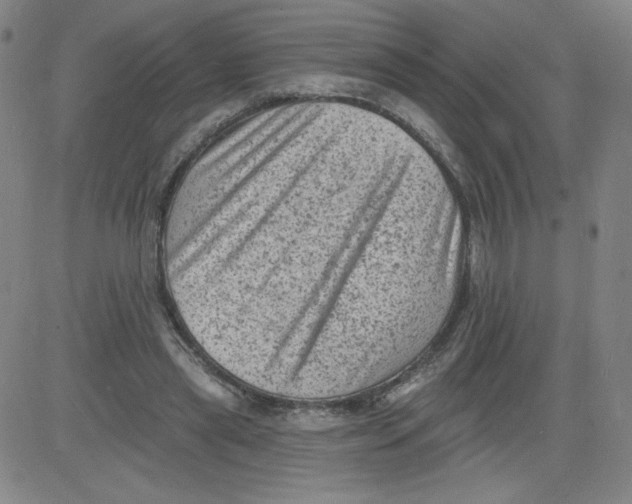X0000081480445200702021902