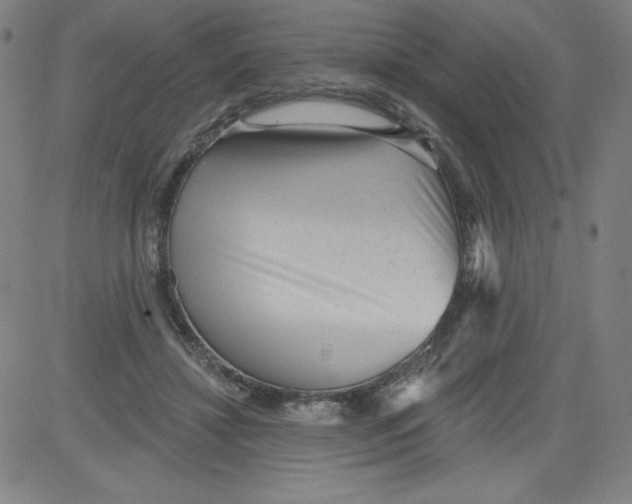 X0000081480452200702021902