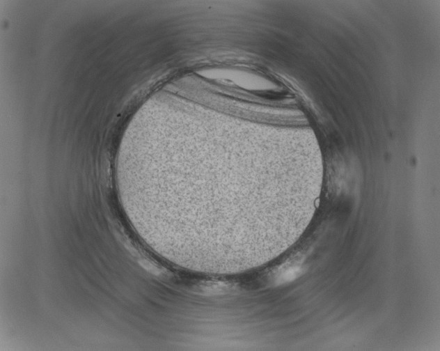 X0000081480453200702021902