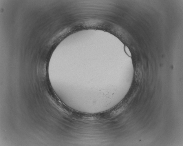 X0000081480454200702021902