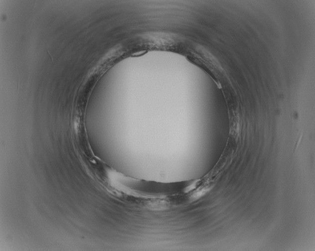 X0000081480456200702021902