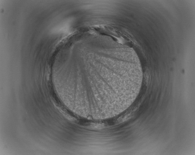 X0000081480458200702021902