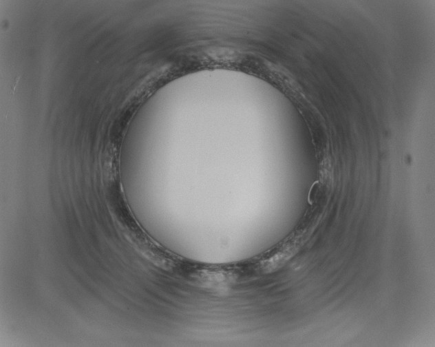 X0000081480464200702021902