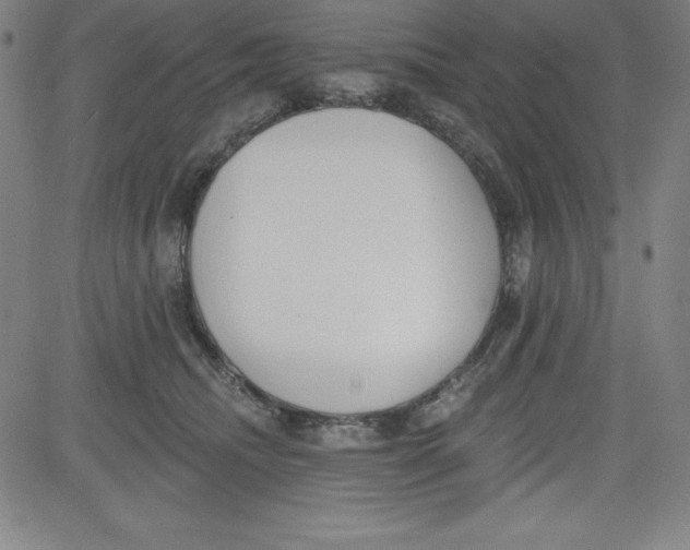 X0000081480468200702021902