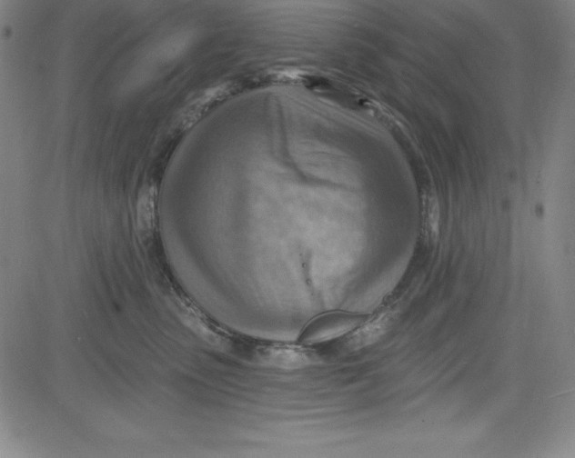X0000081480475200702021902