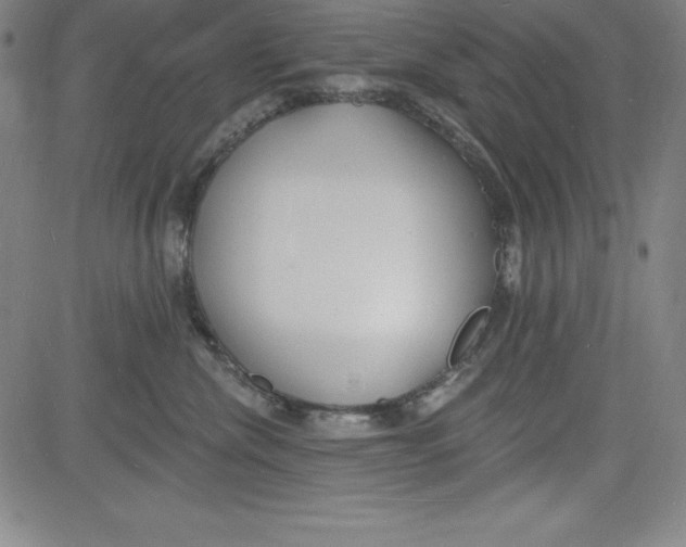 X0000081480476200702021902