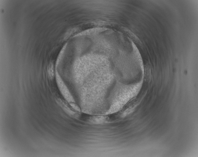 X0000081480479200702021902