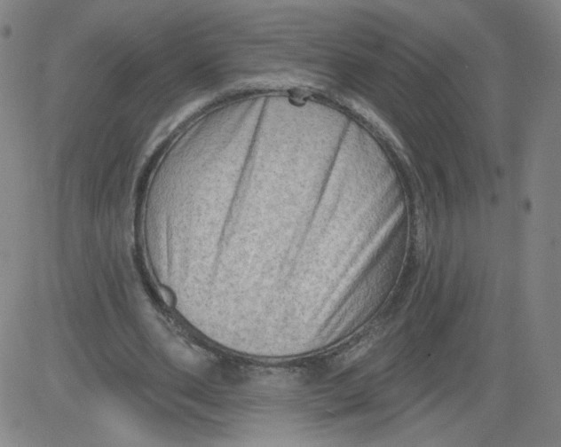 X0000081480486200702021901