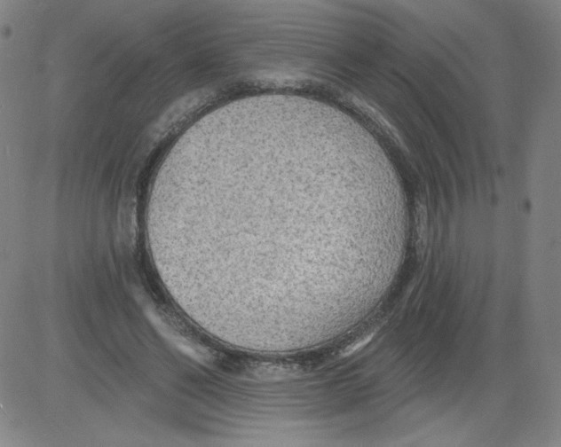 X0000081480494200702021901