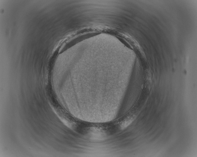 X0000081480496200702021901