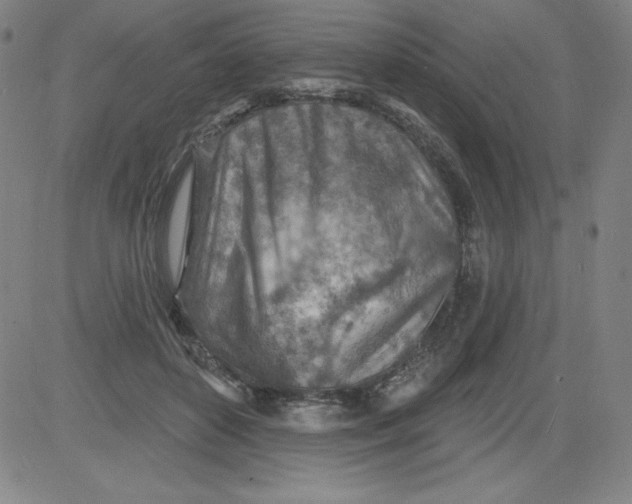 X0000081480504200702021901