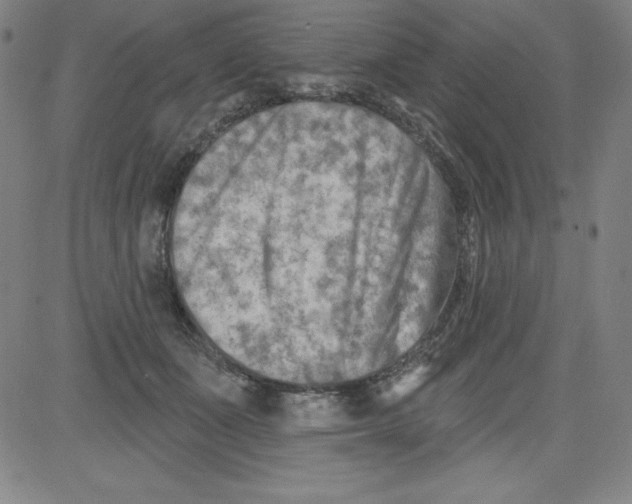 X0000081480511200702021901