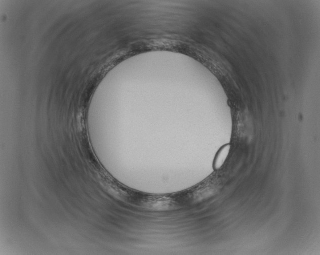X0000081480514200702021901