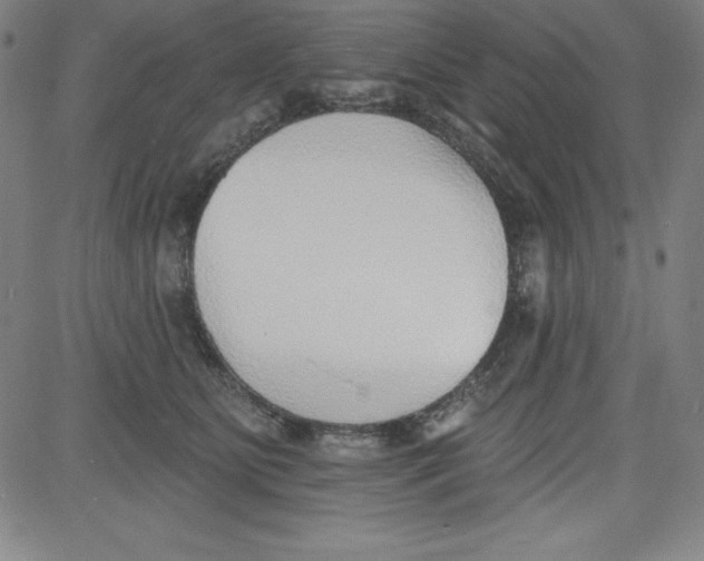 X0000081480515200702021901