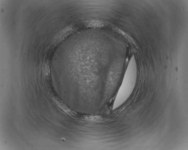 X0000081480517200702021901