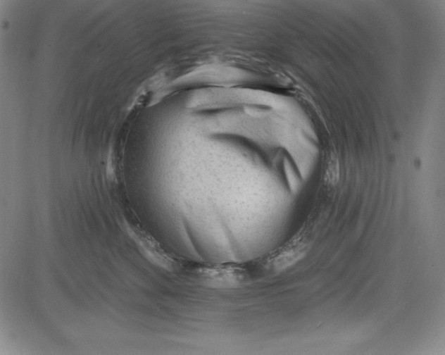X0000081480524200702021901