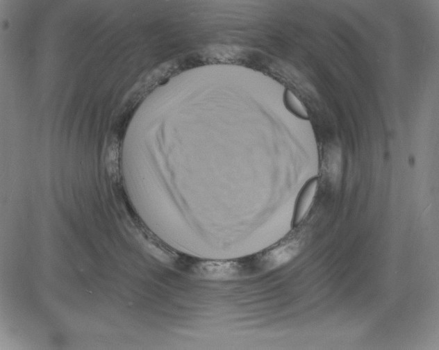 X0000081480526200702021901
