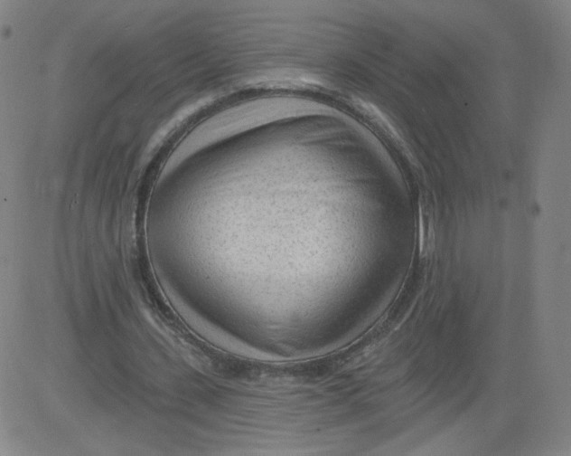 X0000081480531200702021900