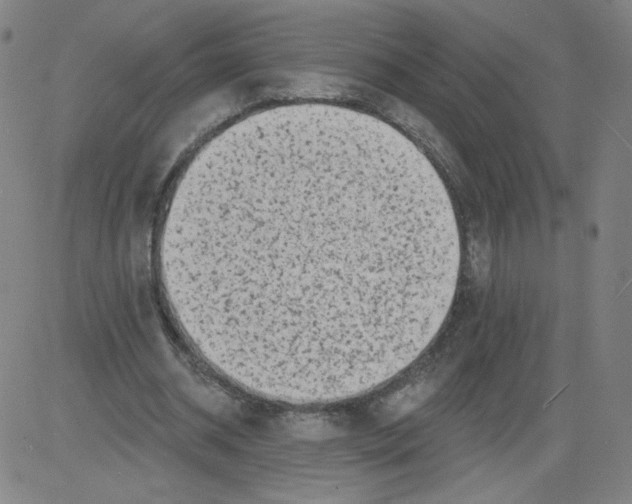 X0000081480534200702021900