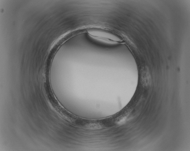 X0000081480536200702021900