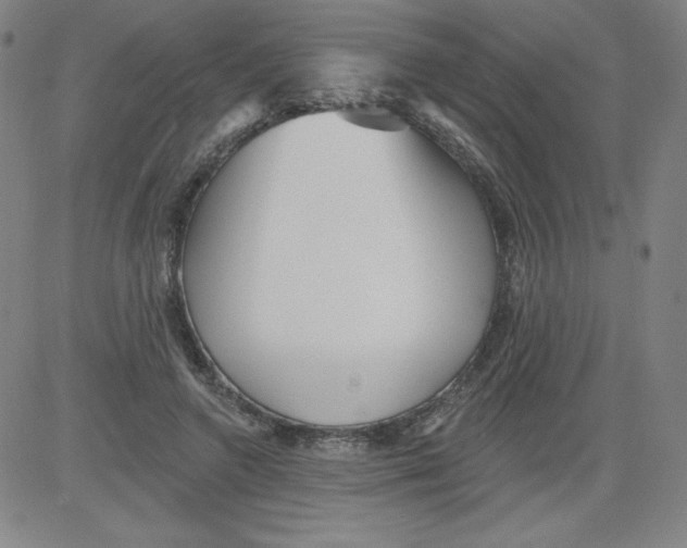 X0000081480546200702021900
