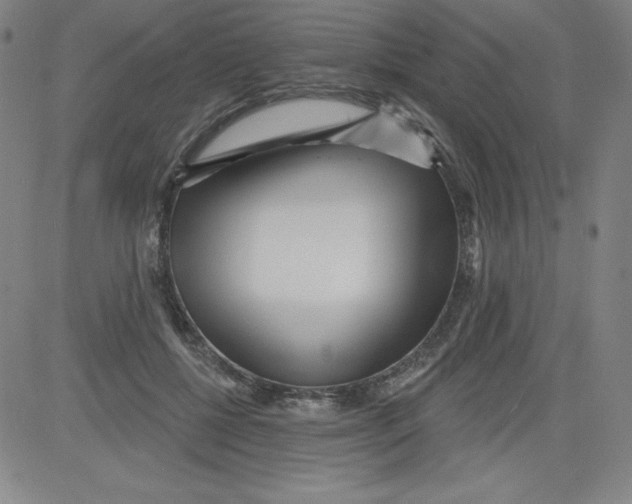 X0000081480552200702021900