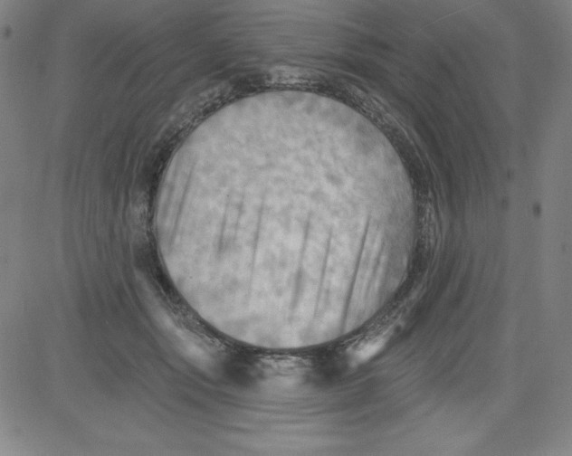 X0000081480557200702021900