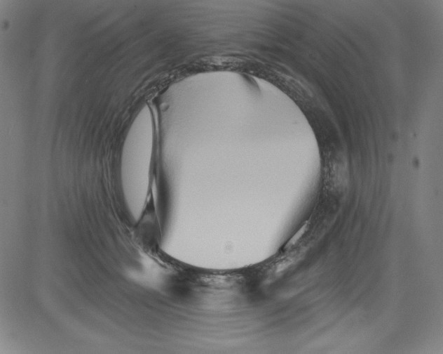 X0000081480558200702021900