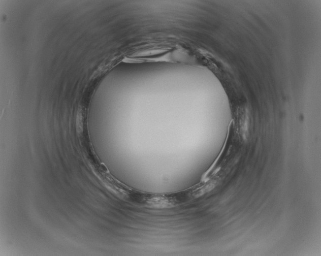 X0000081480562200702021900