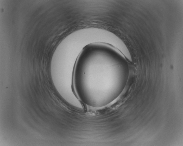 X0000081480566200702021900