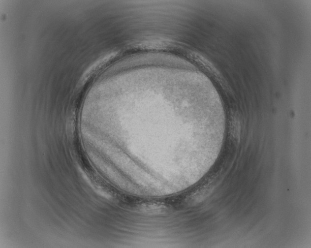 X0000081480586200702021900