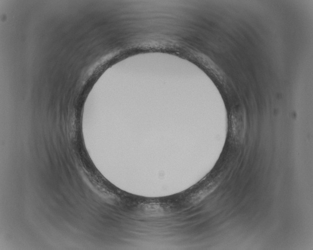X0000081480588200702021900