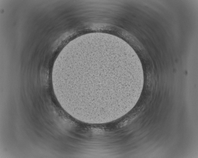 X0000081480592200702021900