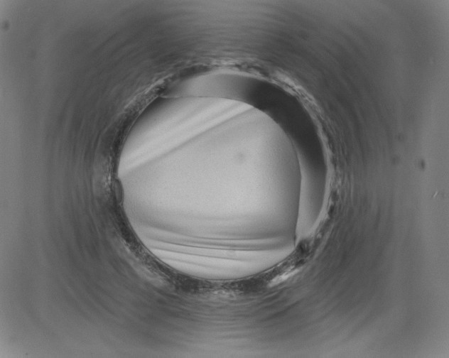 X0000081480593200702021900
