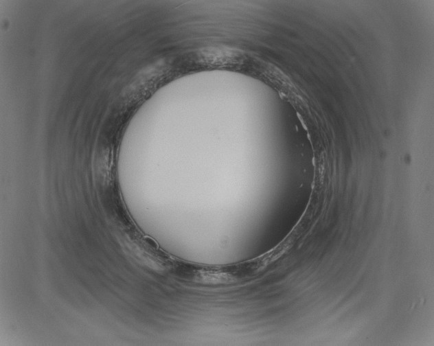 X0000081480605200702021859