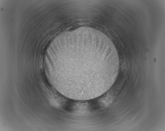 X0000081480606200702021859