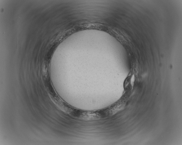 X0000081480607200702021859