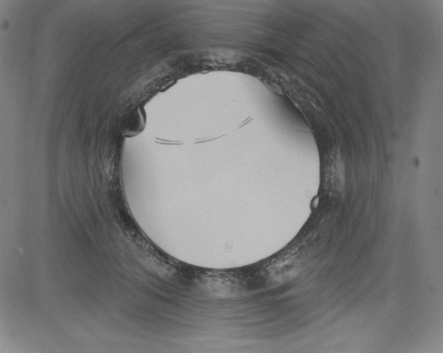 X0000081480608200702021859