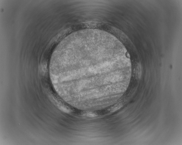 X0000081480610200702021859