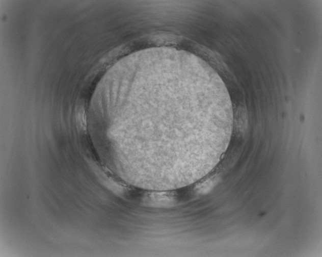 X0000081480622200702021859