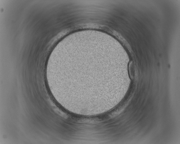 X0000081480625200702021858