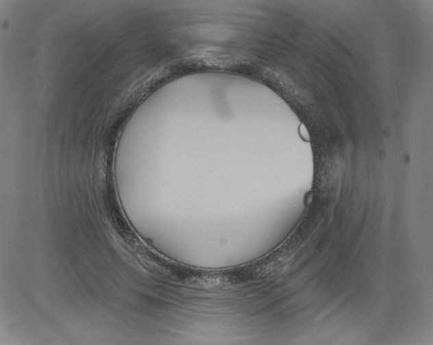 X0000081480639200702021859