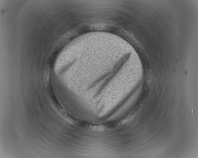X0000081480645200702021859