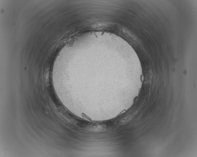 X0000081480646200702021859
