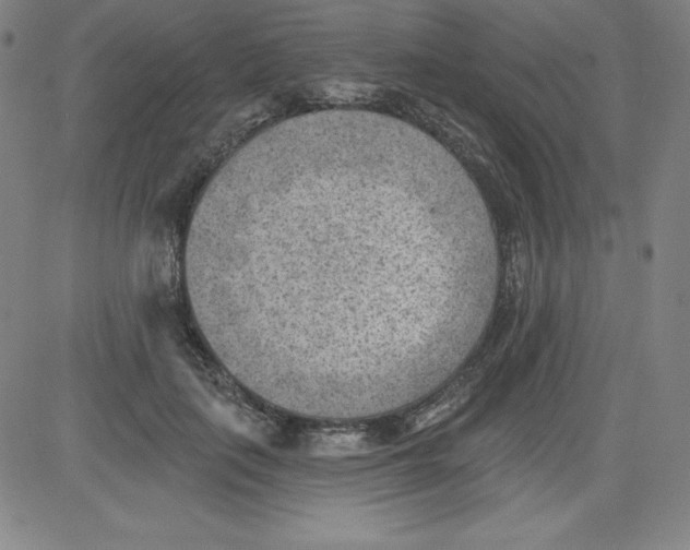 X0000081480651200702021859