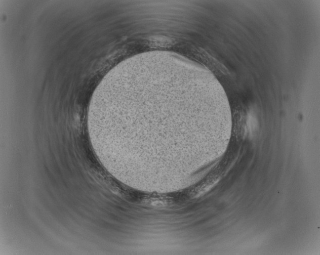 X0000081480655200702021859
