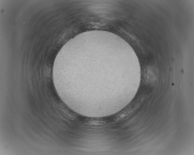 X0000081480657200702021859