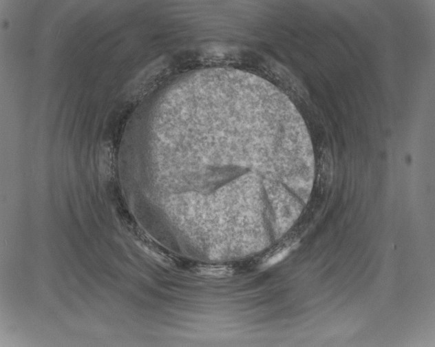 X0000081480659200702021859